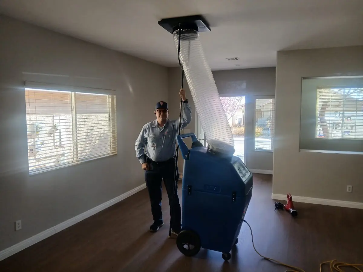Professional Dryer Vent Cleaning work inside a Cloverleaf home